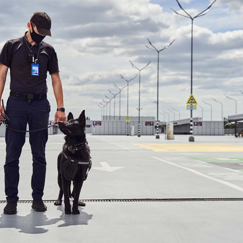 security-officer-and-police-dog-patrolling-territo-JQAT69W.jpg